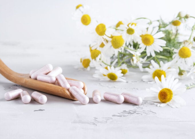 View of Chamomile for Dogs: 4 Astounding Benefits and Usage