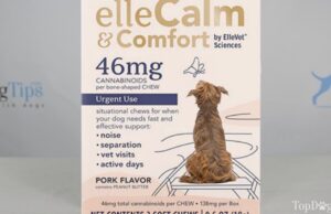 Review: ElleVet Sciences elleCalm & Comfort Chews elleCalm & Comfort