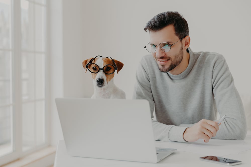 Man and his pet on a virtual dog training class