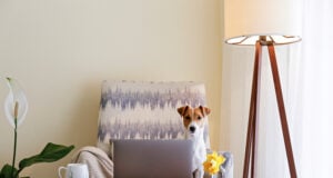 How to Set Up a Home Office With a Pet Space (+ 5 Easy Ideas)! Setting Up Home Office with a Pet Space Featured Image
