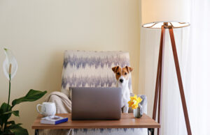How to Set Up a Home Office With a Pet Space (+ 5 Easy Ideas)! Setting Up Home Office with a Pet Space Featured Image