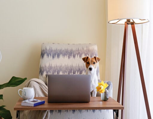How to Set Up a Home Office With a Pet Space (+ 5 Easy Ideas)! Setting Up Home Office with a Pet Space Featured Image