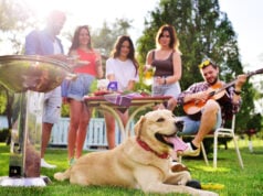 BBQ Safety for Dogs: How to Keep Your Dog Safe at a Backyard Barbecue BBQ Safety for Dogs featured image