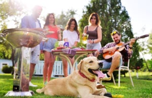 BBQ Safety for Dogs: How to Keep Your Dog Safe at a Backyard Barbecue BBQ Safety for Dogs featured image