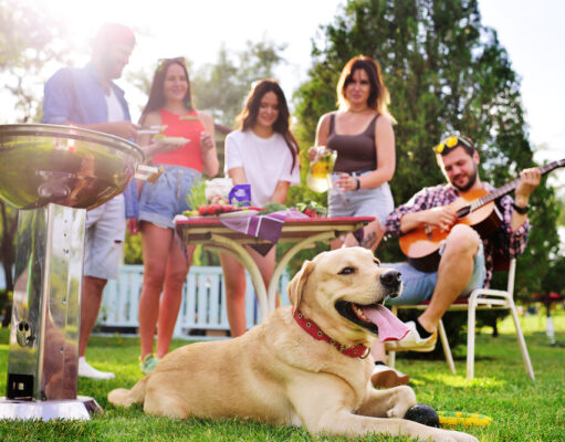 BBQ Safety for Dogs: How to Keep Your Dog Safe at a Backyard Barbecue BBQ Safety for Dogs featured image