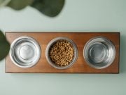 How to Set Up a Dog Feeding Station + 5 Creative Ideas! Dog Feeding Station Featured Image