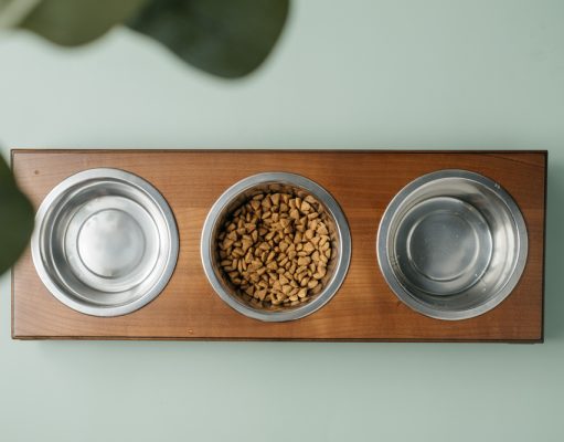 How to Set Up a Dog Feeding Station + 5 Creative Ideas! Dog Feeding Station Featured Image