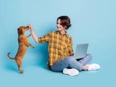 Virtual Dog Training Classes & 6 Online Places to Try Virtual Dog Training Class Featured Image