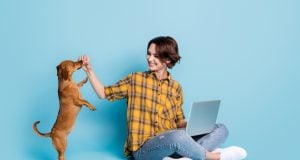 Virtual Dog Training Classes & 6 Online Places to Try Virtual Dog Training Class Featured Image