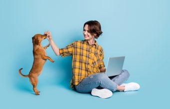 Virtual Dog Training Classes & 6 Online Places to Try Virtual Dog Training Class Featured Image