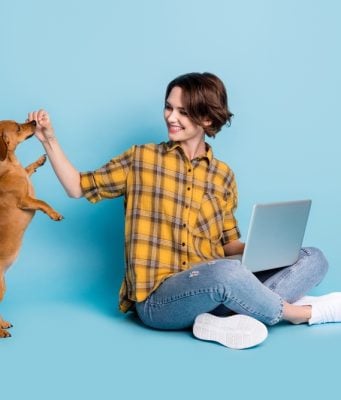 Virtual Dog Training Classes & 6 Online Places to Try Virtual Dog Training Class Featured Image