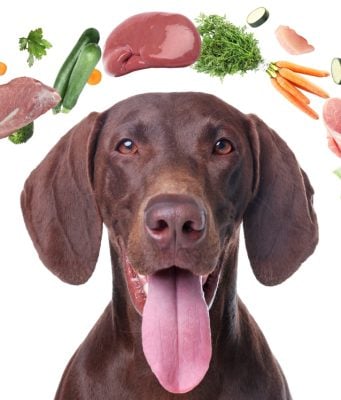 Detox Diet for Dogs in Spring: What to Feed & How to Begin Spring Detox Diet for Dogs Featured Image