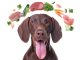 Detox Diet for Dogs in Spring: What to Feed & How to Begin Spring Detox Diet for Dogs Featured Image
