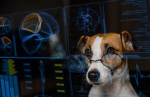AI in Pet Care: 8 Artificial Intelligence Tools to Monitor Dog Health AI in Pet Care: Artificial Intelligence in Dog Health Monitoring Tools