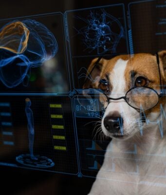 AI in Pet Care: 8 Artificial Intelligence Tools to Monitor Dog Health AI in Pet Care: Artificial Intelligence in Dog Health Monitoring Tools