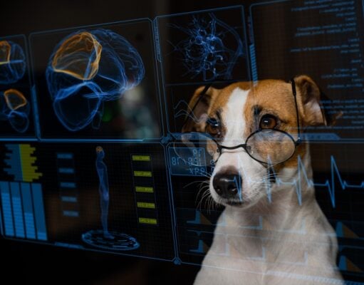 AI in Pet Care: 8 Artificial Intelligence Tools to Monitor Dog Health AI in Pet Care: Artificial Intelligence in Dog Health Monitoring Tools