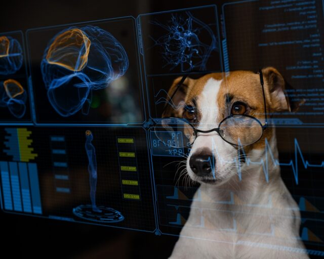 AI in Pet Care: Artificial Intelligence in Dog Health Monitoring Tools AI in Pet Care: Artificial Intelligence in Dog Health Monitoring Tools