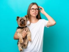 20 Most-Asked Questions from Dog Owners in 2025