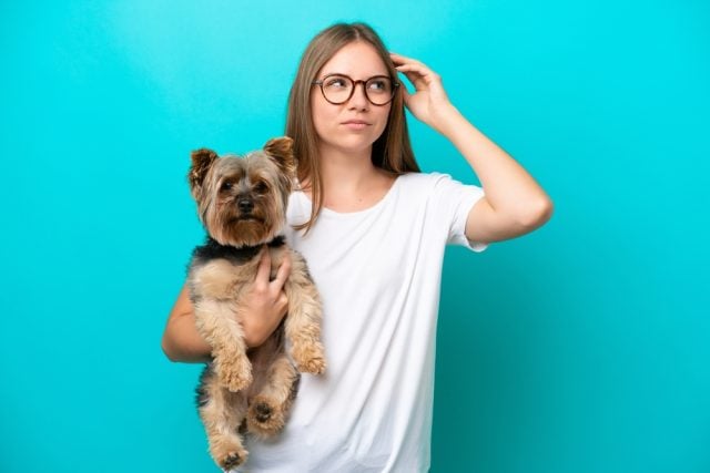 Top dog questions of 2025
