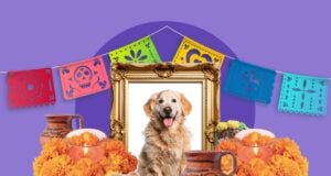 Día de los Muertos and Dogs + How to Make a Pet Ofrenda Dia de los Muertos and Dogs Featured Image