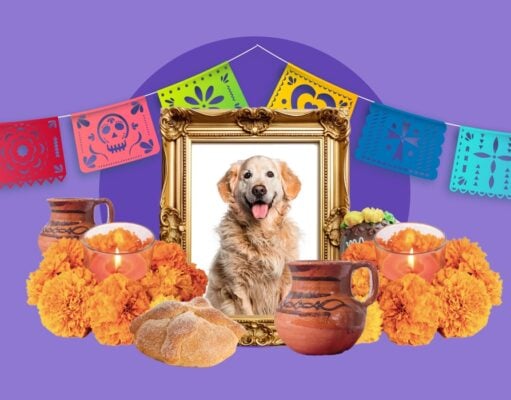 Día de los Muertos and Dogs + How to Make a Pet Ofrenda Dia de los Muertos and Dogs Featured Image