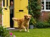 Dog Bolting: Why Dogs Suddenly Run Off and How to Stop It Dog Bolting Featured Image
