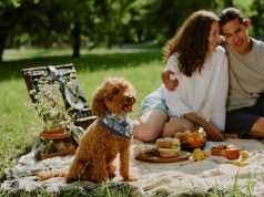 14 Tips for the Perfect Spring Picnic with Dogs Start your dog's detox diet this spring