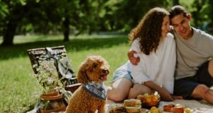 14 Tips for the Perfect Spring Picnic with Dogs Spring Picnic with Dogs Featured Image