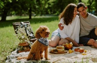 14 Tips for the Perfect Spring Picnic with Dogs Start your dog's detox diet this spring