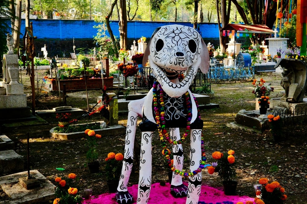 A decorative dog statue for Dia De Los Muertos