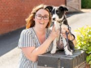 Owner Rushes Border Collie to Hospital After Eating Tin Foil tin foil eating dog
